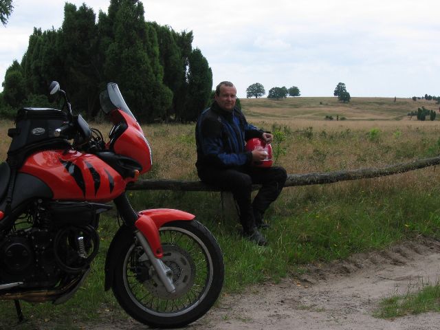 Lüneburger Heide, Saksa.